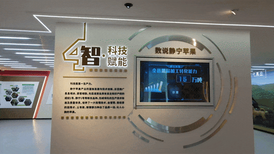 蘋(píng)果展廳設(shè)計(jì)施工-甘肅靜寧蘋(píng)果蘋(píng)果科創(chuàng)館